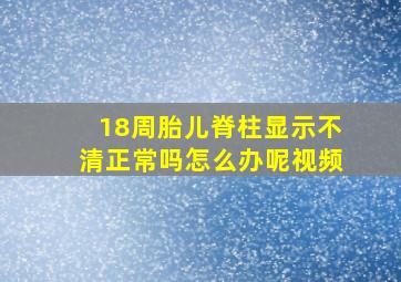 18周胎儿脊柱显示不清正常吗怎么办呢视频