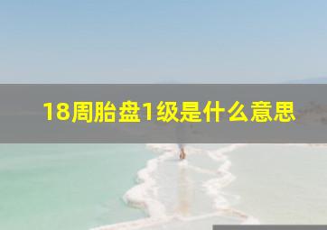 18周胎盘1级是什么意思