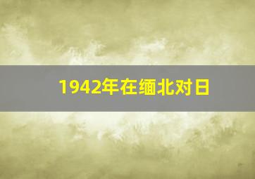 1942年在缅北对日