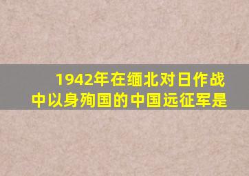 1942年在缅北对日作战中以身殉国的中国远征军是