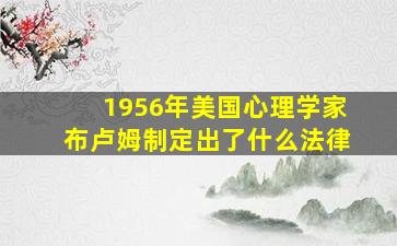 1956年美国心理学家布卢姆制定出了什么法律