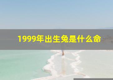 1999年出生兔是什么命