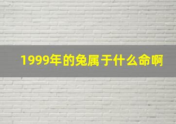 1999年的兔属于什么命啊