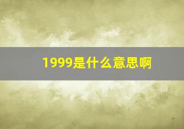 1999是什么意思啊