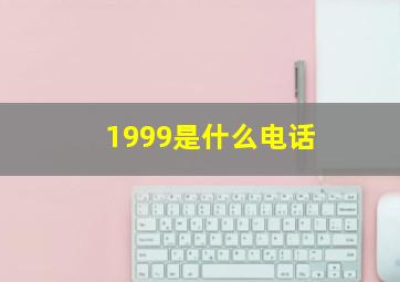 1999是什么电话