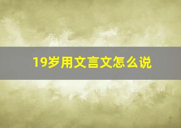 19岁用文言文怎么说