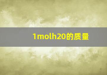 1molh20的质量