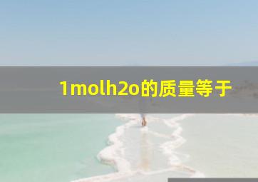 1molh2o的质量等于