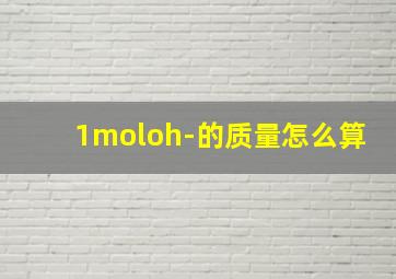 1moloh-的质量怎么算