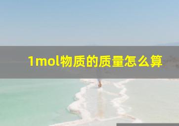 1mol物质的质量怎么算