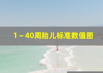 1～40周胎儿标准数值图