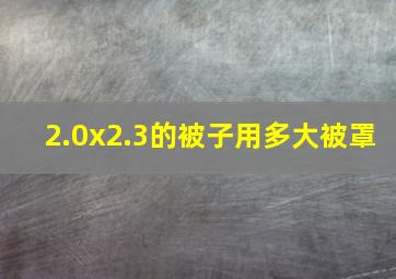 2.0x2.3的被子用多大被罩