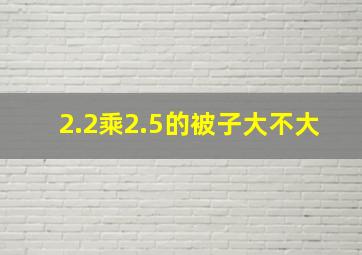 2.2乘2.5的被子大不大