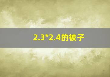 2.3*2.4的被子