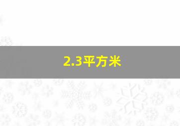 2.3平方米