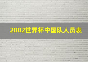 2002世界杯中国队人员表