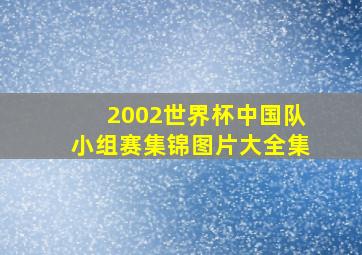 2002世界杯中国队小组赛集锦图片大全集