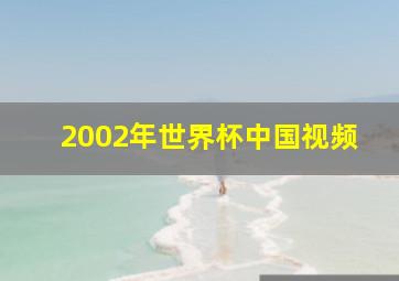 2002年世界杯中国视频