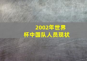 2002年世界杯中国队人员现状