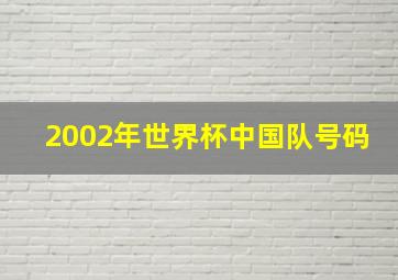 2002年世界杯中国队号码