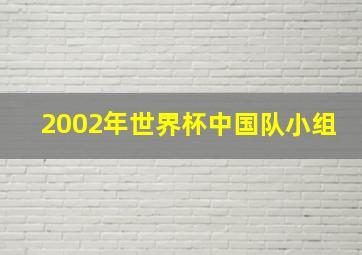 2002年世界杯中国队小组