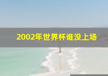 2002年世界杯谁没上场