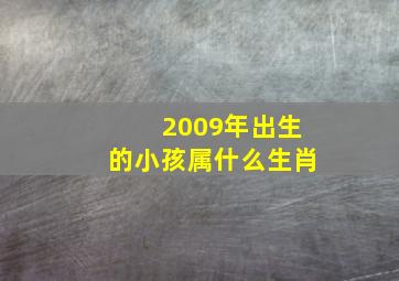 2009年出生的小孩属什么生肖