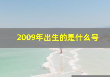 2009年出生的是什么号