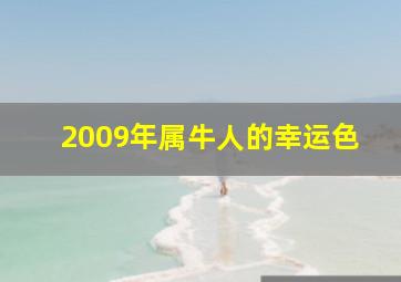 2009年属牛人的幸运色