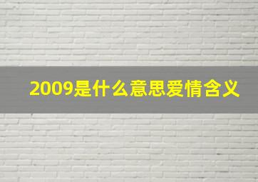 2009是什么意思爱情含义