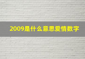 2009是什么意思爱情数字