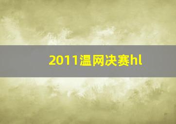 2011温网决赛hl