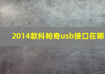 2014款科帕奇usb接口在哪