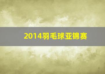 2014羽毛球亚锦赛