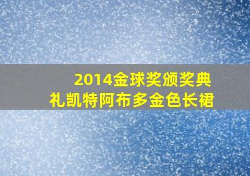 2014金球奖颁奖典礼凯特阿布多金色长裙