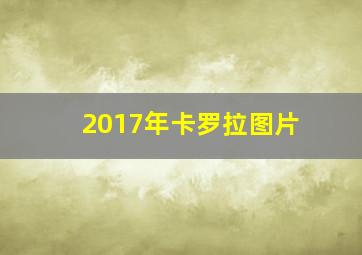 2017年卡罗拉图片