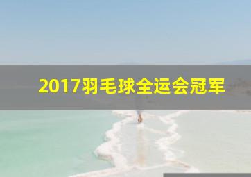 2017羽毛球全运会冠军