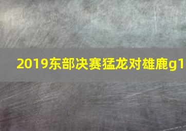 2019东部决赛猛龙对雄鹿g1