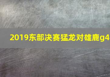 2019东部决赛猛龙对雄鹿g4