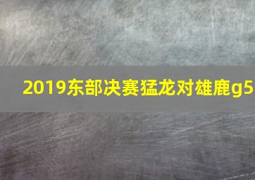 2019东部决赛猛龙对雄鹿g5