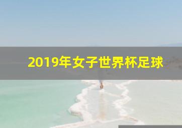 2019年女子世界杯足球