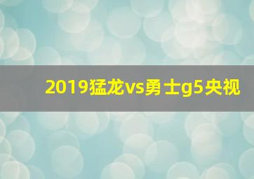 2019猛龙vs勇士g5央视