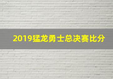 2019猛龙勇士总决赛比分