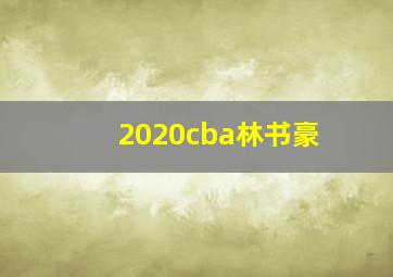 2020cba林书豪