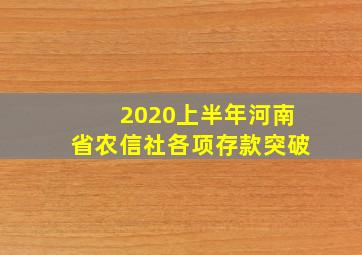 2020上半年河南省农信社各项存款突破