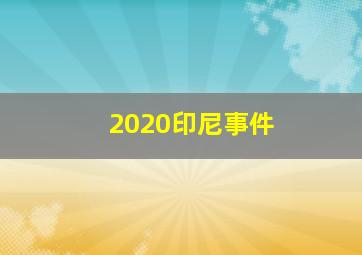 2020印尼事件