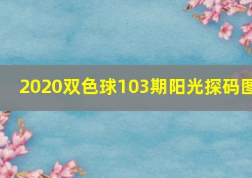 2020双色球103期阳光探码图