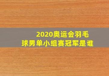 2020奥运会羽毛球男单小组赛冠军是谁