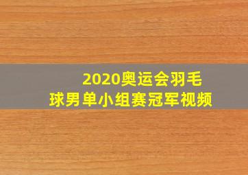 2020奥运会羽毛球男单小组赛冠军视频