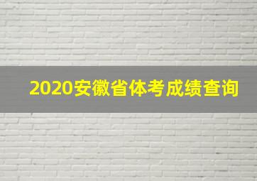 2020安徽省体考成绩查询